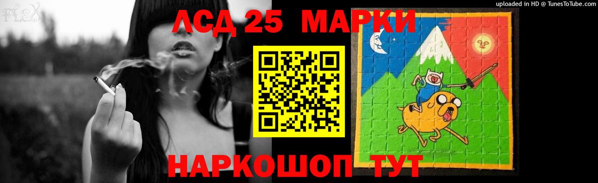 Галлюциногенные грибы Пенза