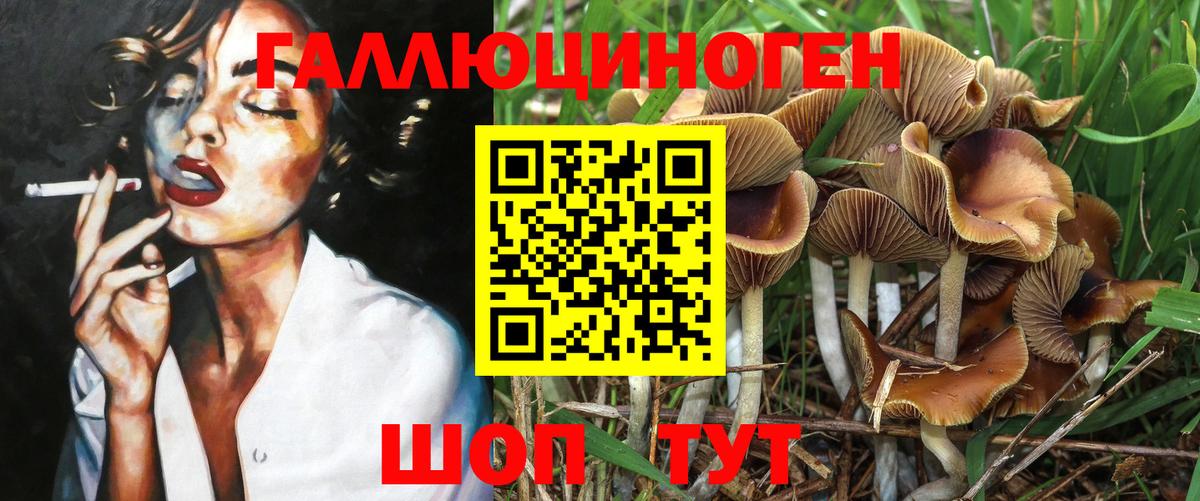 Галлюциногенные грибы Psilocybine cubensis  Вход с VPN  Пенза 