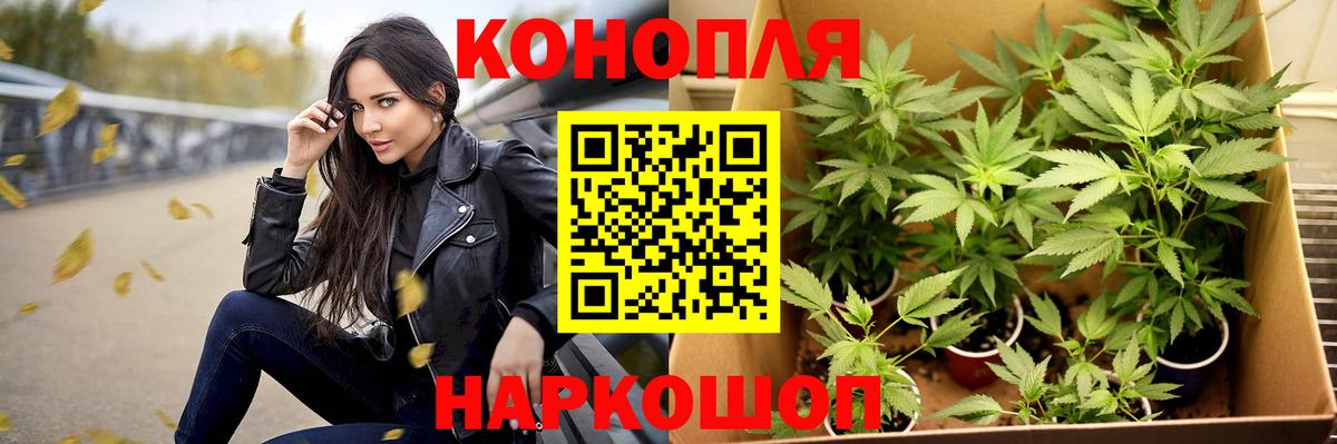 Бошки Шишки THC 21%  Бошки Шишки AK-47  Вход с VPN  Пенза  МАРИХУАНА AK-47 